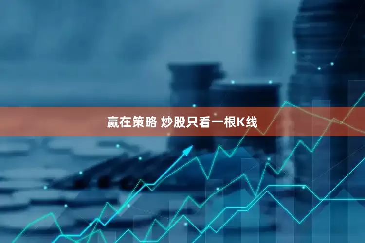 赢在策略 炒股只看一根K线